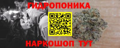 герыч Боровичи