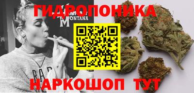 прущие грибы Братск