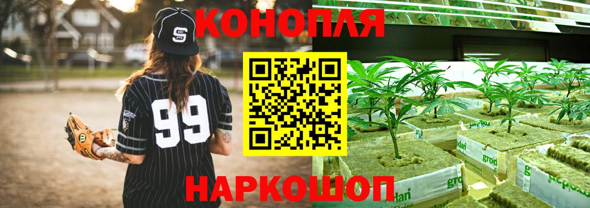 Шишки марихуана план Горячий Ключ